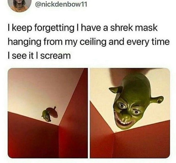 Why