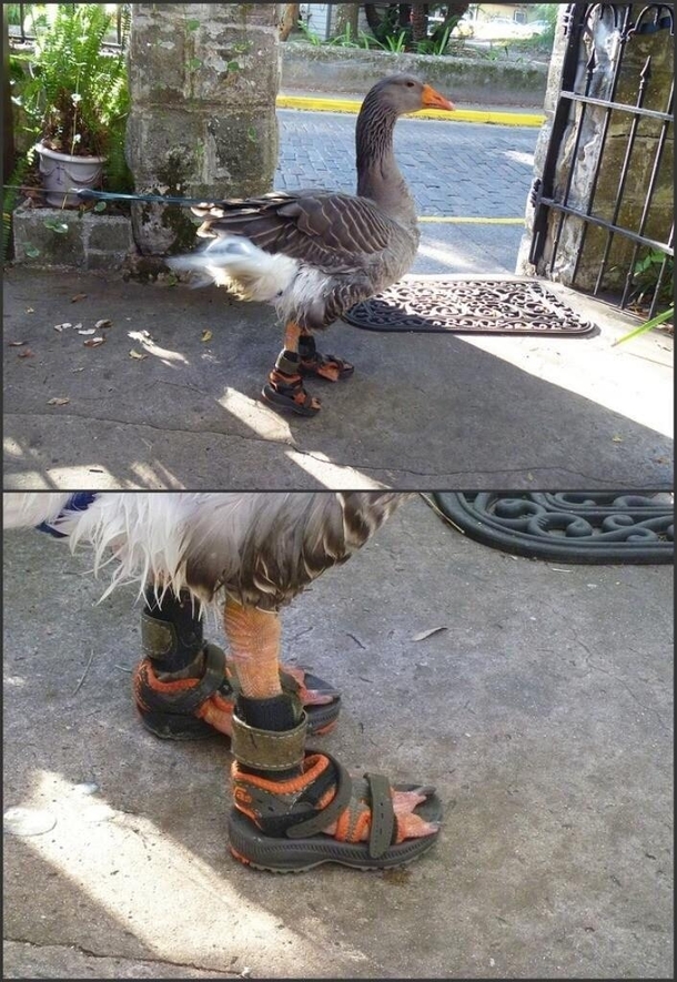Why
