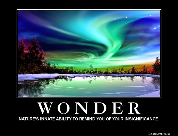 Wonder