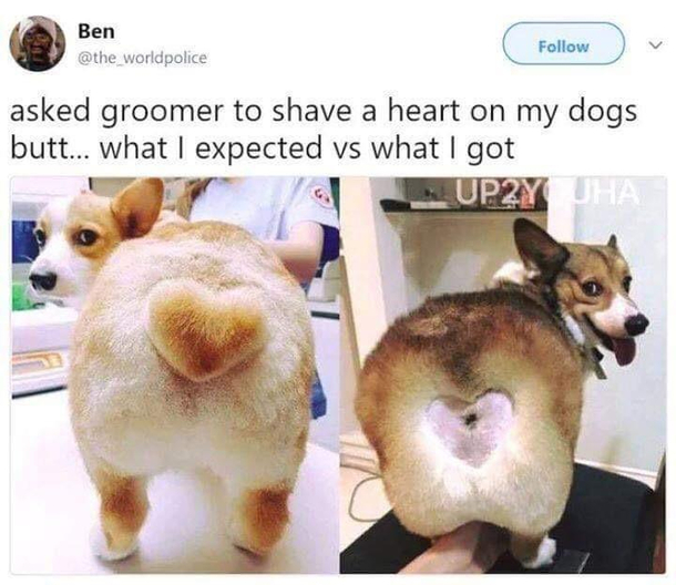 wOOF