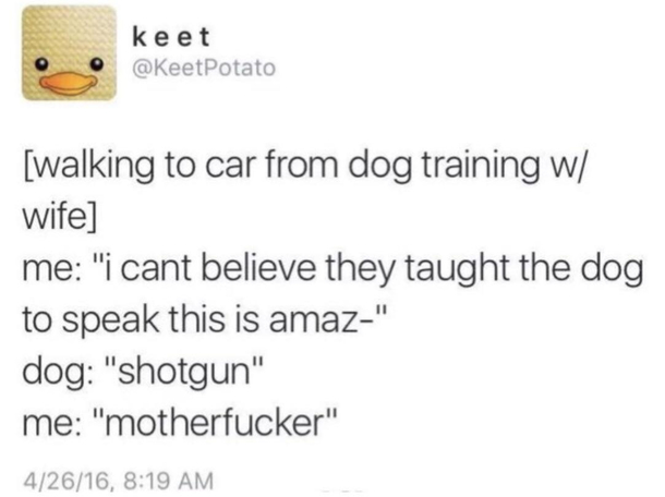 Woof
