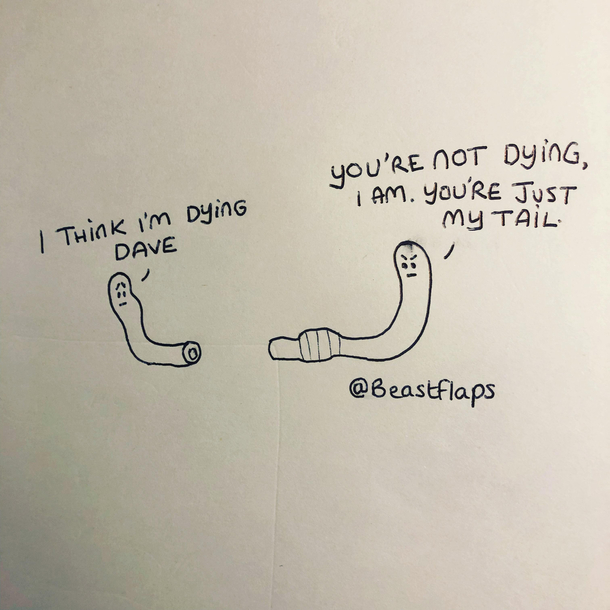  worm problems