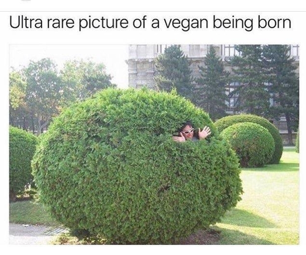 Wow