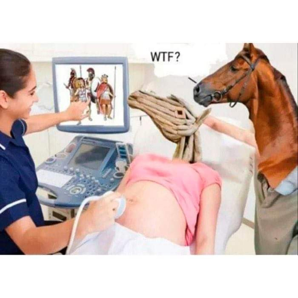 WOW
