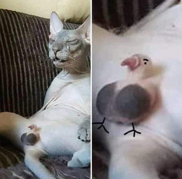 wow
