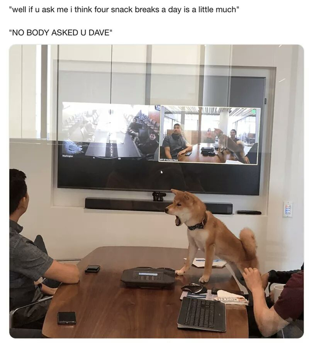 wrrraaaaaaaah