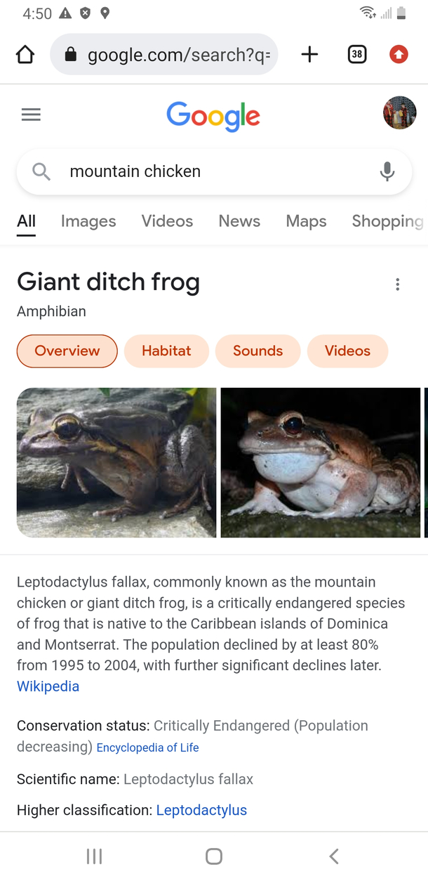 wth
