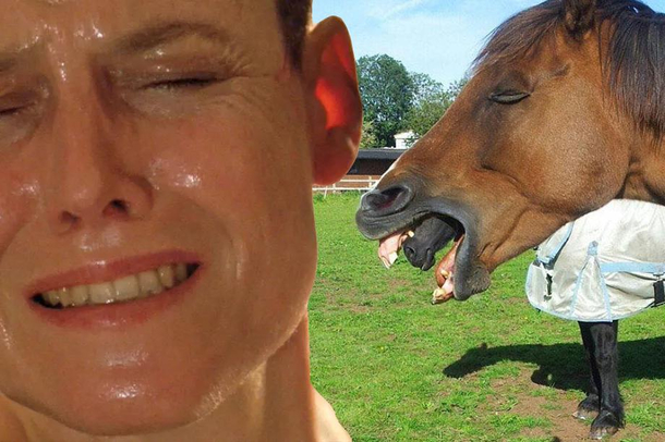 Xenohorse