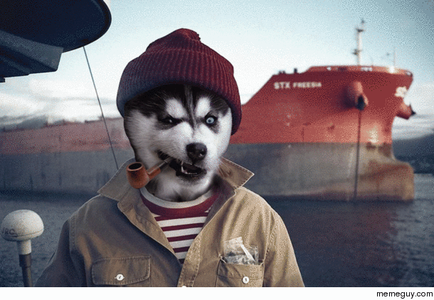Yarr