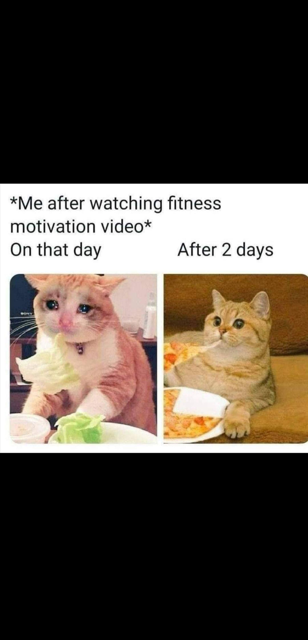 Yep