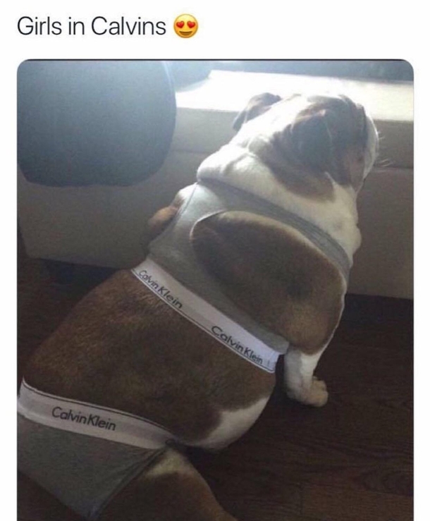 Yes