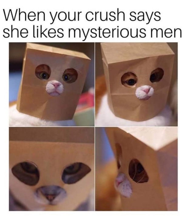 Yes