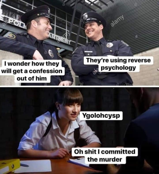 Ygolohcysp
