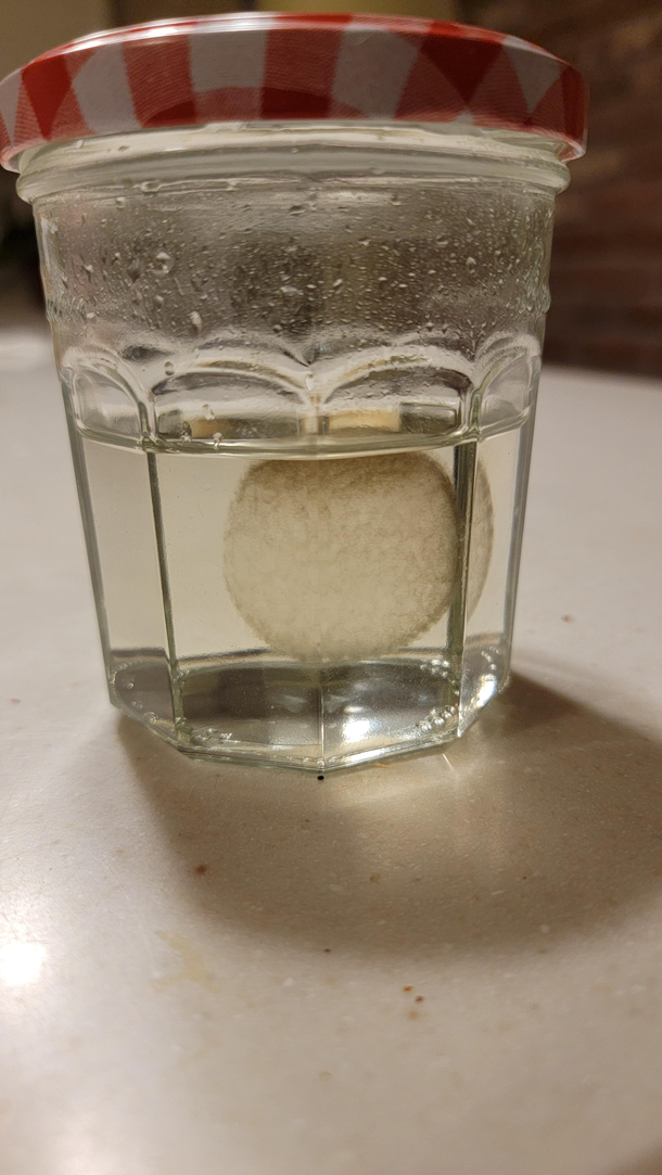  yr old symple syrup found in back of fridge What is this ball growing in there