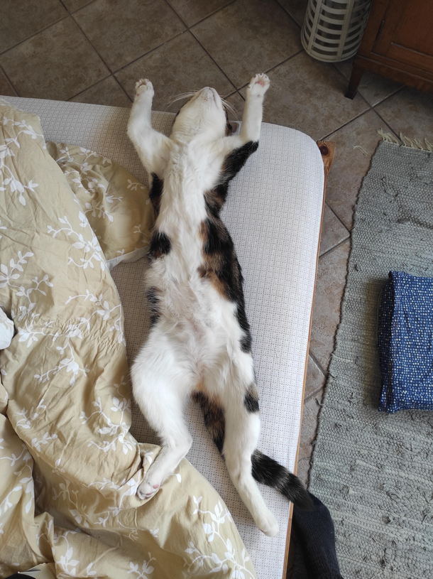 Zzz