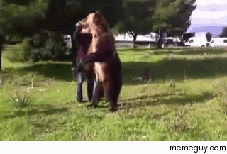 A Bear Doing Hula Hoops