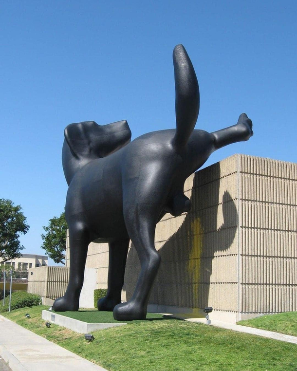 A big dog