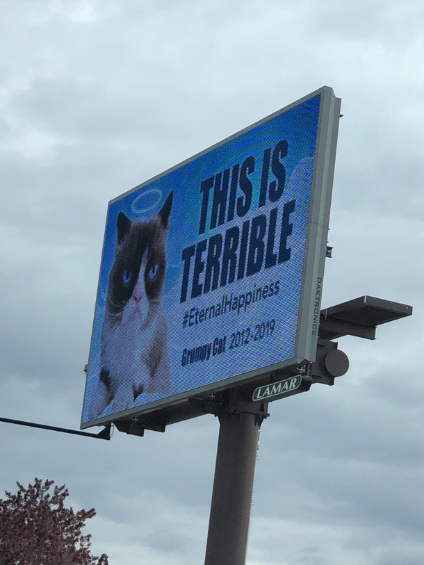 A billboard in my city paying respects to the greatest