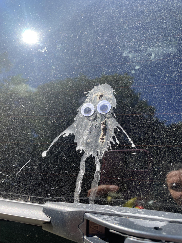 A bird pooped on my car in the shape of a monster so I put googly eyes on it