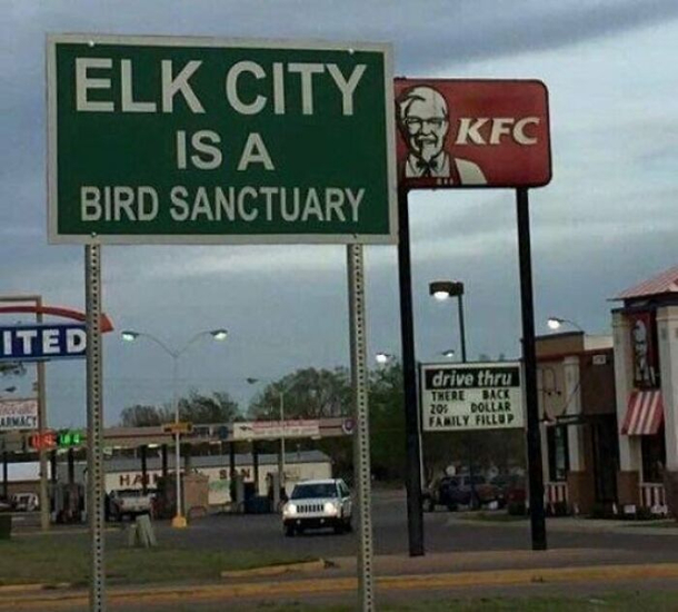 a bird sanctuary huh