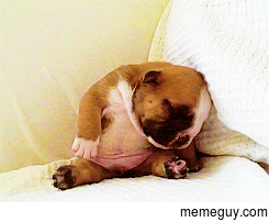 A Bit Tired