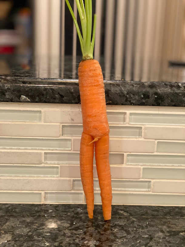 A bottomless vegetable