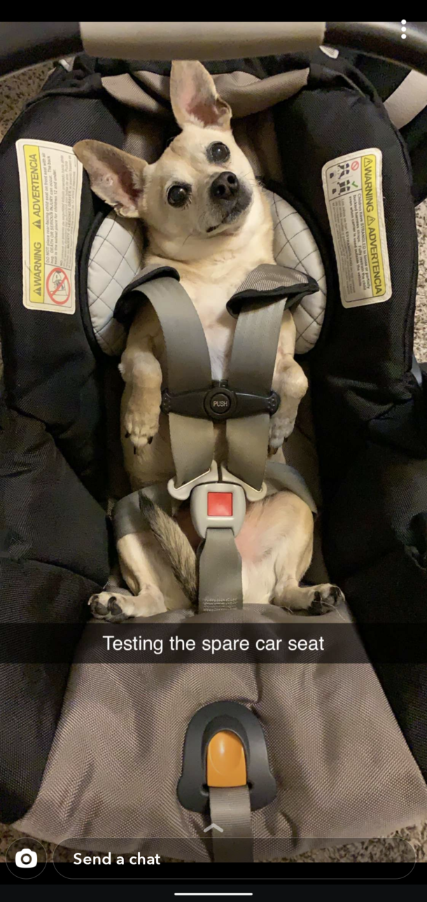 A buddy recently had a baby