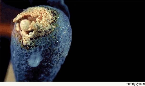 A burning matchstick
