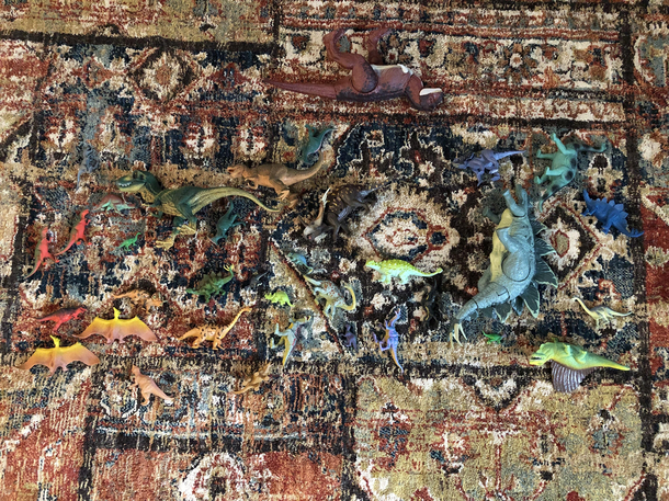 A carpet that hides EVERYTHING Thank you