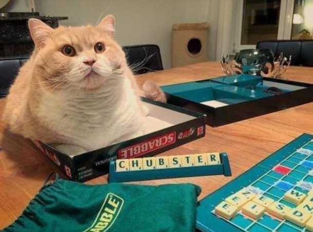 A casual game of scrabble