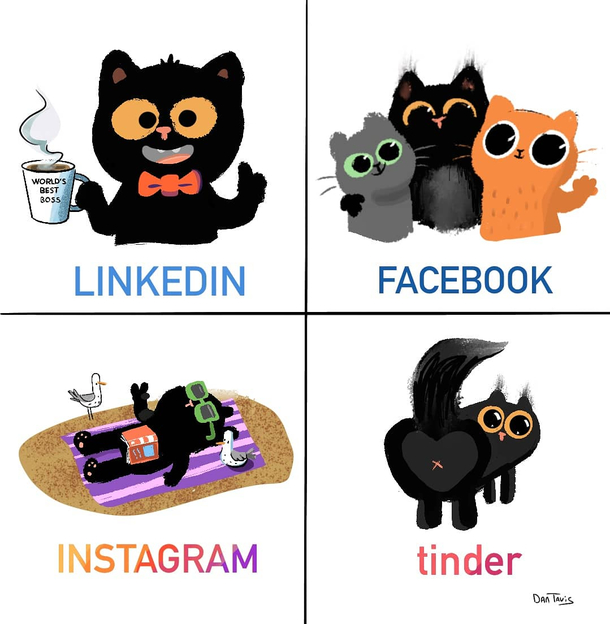 A Cat Life