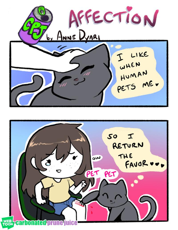 A cats affection