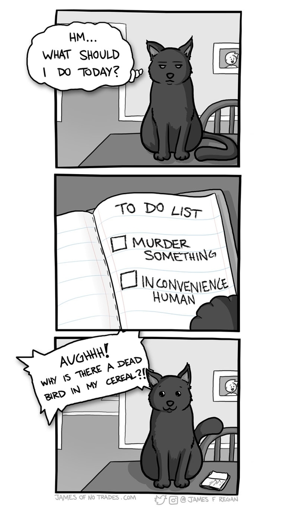 A Cats Purpose