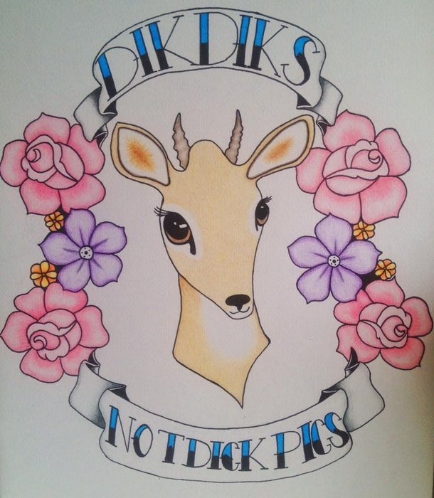 A Cheeky Dik Dik Pic