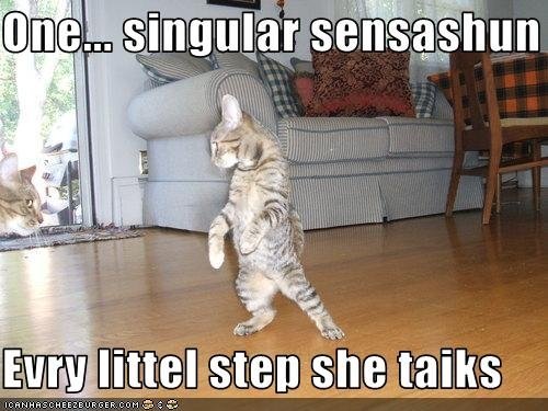 A CHORUS LINE KITTEH