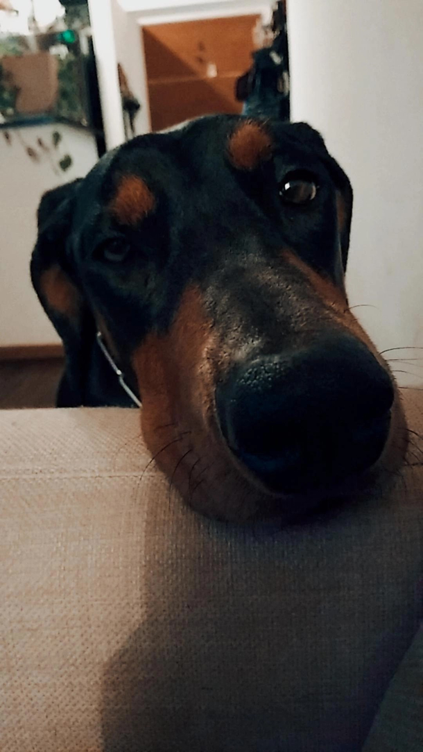 A close-up