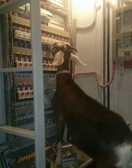 A Comcast field technician hard at work