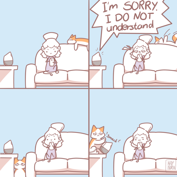 A comic about my experience with Google so far Always comes out of nowhere My cat Agurk is not pleased