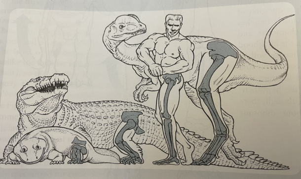 A crocodile and a dinosaur ogle a buff human guy while a prehistoric amphibian gives them side-eye