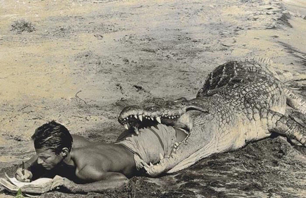A Crocodile Is Eating Me Right Now Bye