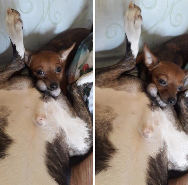 A cushion is a cushion right