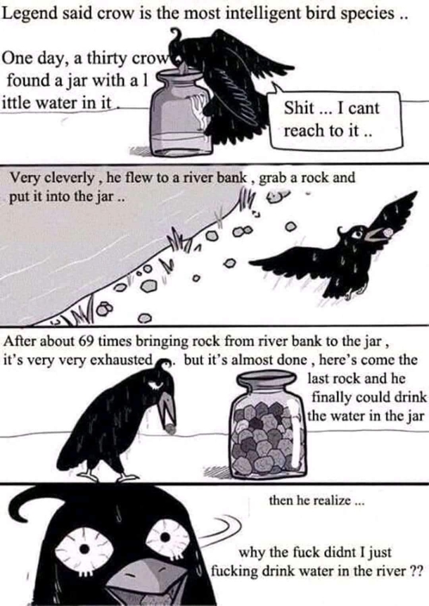 A depressed crow