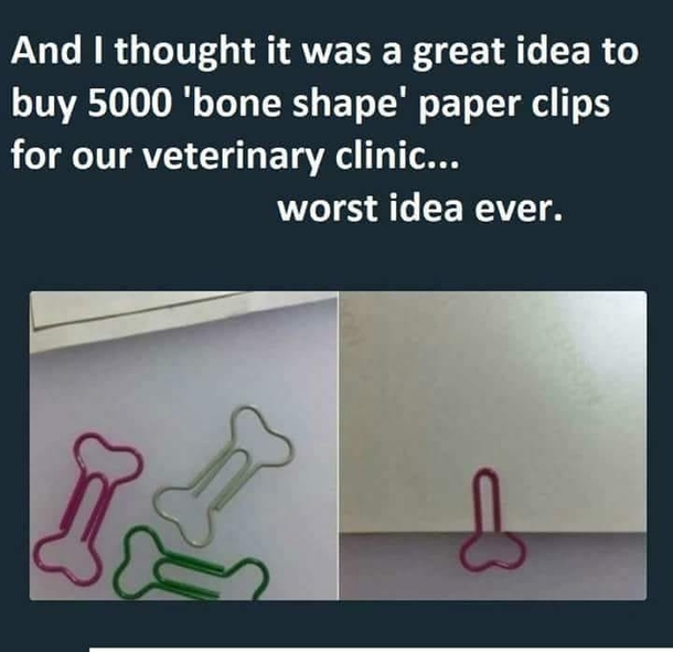 A different type of bone