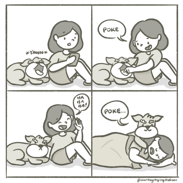 A dogs revenge