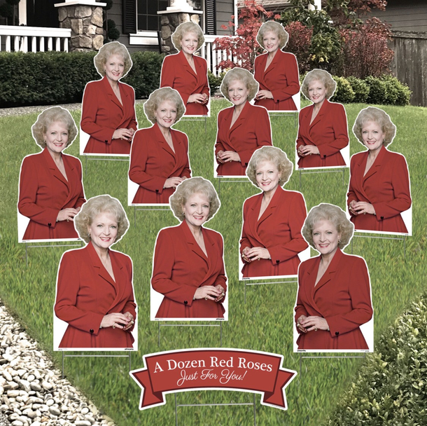 A Dozen Roses