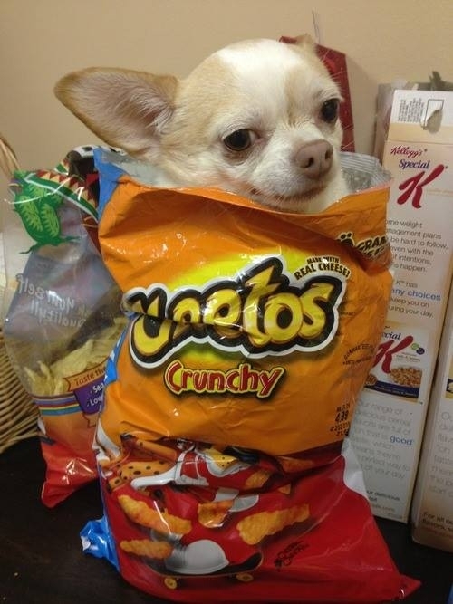 A face of no regrets