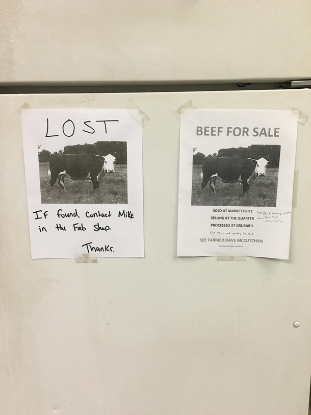 A farmer in the shop next to mine is selling beefI taped up my own sign next to his on the fridge