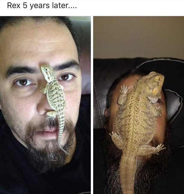A few years makes a big difference