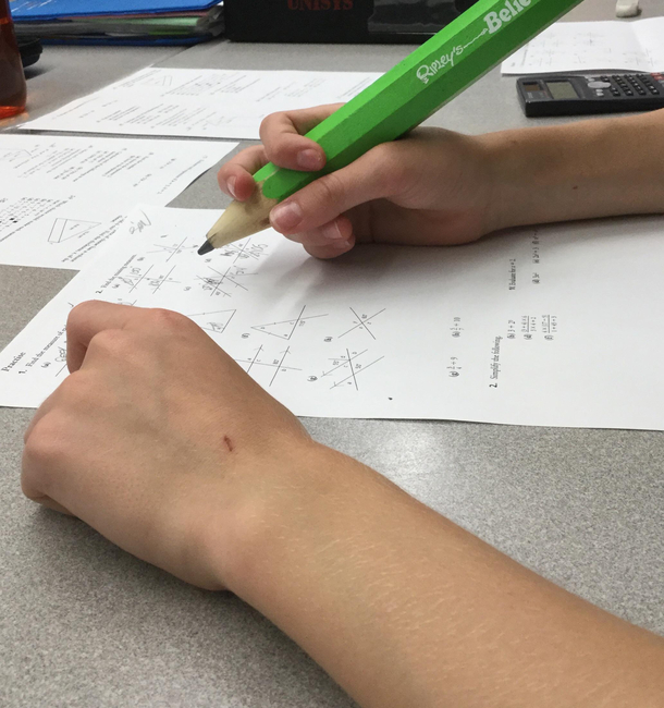 A friend and I bought some large pencils from Ripleys Didnt expect him to bring his for math