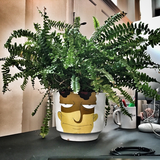 A friend asked me to mind his houseplant for a few days I hope he likes the makeover I gave it